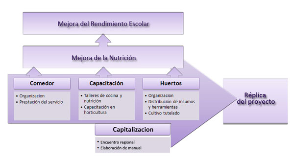 honduras procedimiento