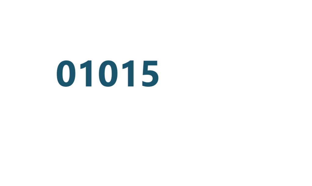 bizum_blanco