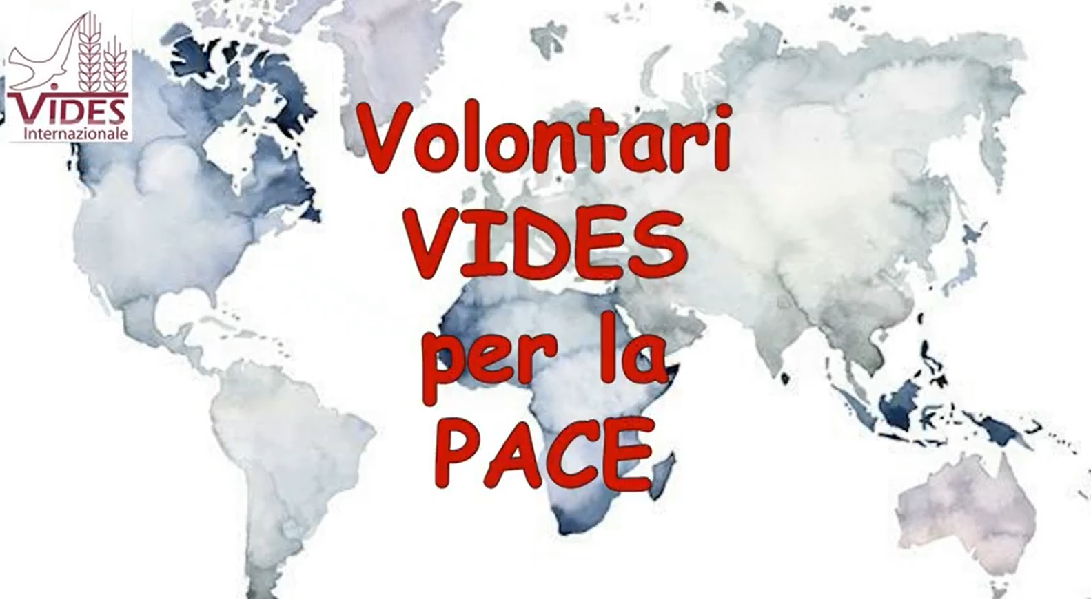 Los voluntarios de VIDES Internacional por la paz
